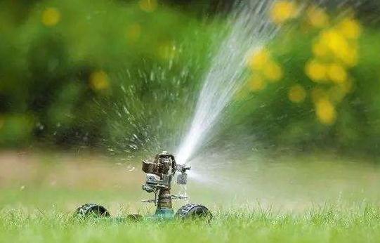 綠化苗木的灌溉與排水，應該注意這8個方面！