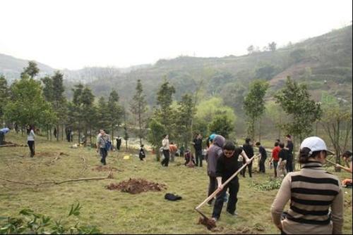 栽樹(shù)五大誤區(qū)，您中招了嗎？