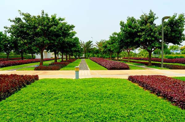 園林綠化常見(jiàn)問(wèn)題總結(jié)，值得收藏