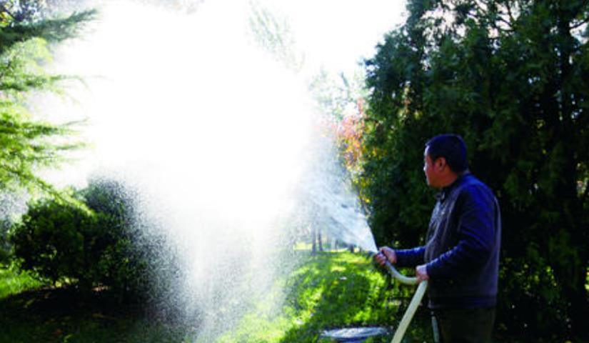 春季氣溫開始回升，湖北凱蒂園林提醒：做好這些養(yǎng)護(hù)舉措，苗木來年存活好，長枝快