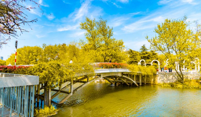 秋季關(guān)于園林綠化養(yǎng)護專業(yè)知識 ，你知道多少？